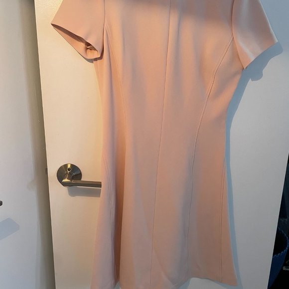 NWT Theory Pink Shift Crepe Dress Size 4 (Originally $365) - Picture 3 of 5